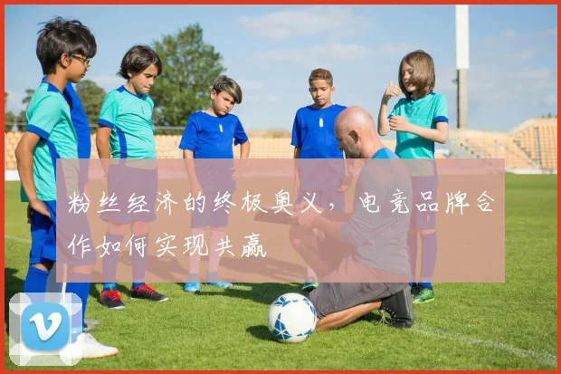粉丝经济的终极奥义，电竞品牌合作如何实现共赢